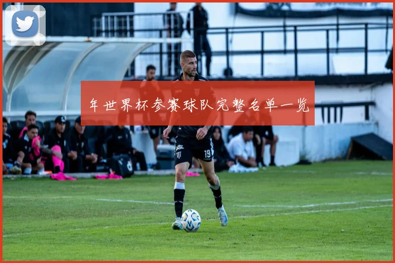 年世界杯参赛球队完整名单一览