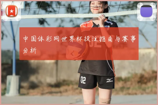 中国体彩网世界杯投注指南与赛事分析