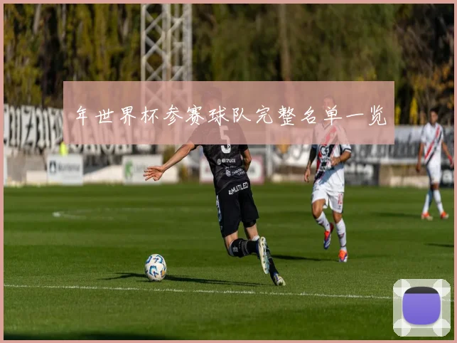 年世界杯参赛球队完整名单一览
